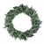 Real Touch™? Washington Frasier Fir Artificial Christmas Wreath - Unlit - 36"
