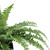 20" Artificial Boston Fern in Decorative Distressed Square Black Tin Pot