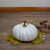 10” White Flat Round Pumpkin Fall Harvest  Table Top Decoration