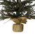 3' Warsaw Two-Tone Twig Artificial Christmas Tree - Unlit