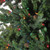 Real Touch™? Pre-Lit Full Hunter Fir Artificial Christmas Tree - 6.5' - Multicolor Lights