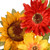 Floral Artificial Wreath with Sunflower and Orange/Yellow Mixed Flowers - 20-Inch