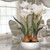 20" White Amaryllis Flowers