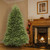 6.5’ Dunhill Artificial Christmas Tree - Unlit