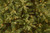 6.5’ Pre-Lit Tiffany Fir Artificial Christmas Tree, Clear lights