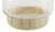 13.5" Clear and Beige Round Container with Base