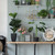 23.5" Green and Black Botanical Faux Round Potted Fiddle Leaf Tree