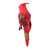 5.5" Red and Pink Cardinal Bird Clip-On Christmas Ornament