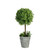 18" Green and Gray Potted Artificial Round Boxwood Topiary - 32556016