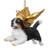 4" Flying Cavalier Dog Angel Christmas Ornament