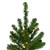 6.5' Pre-Lit Canadian Pine Artificial Pencil Christmas Tree - Clear Lights