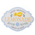 15.25" White and Blue "Fresh Squeezed Lemonade" Metal Sign Spring Wall Decor