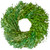 Green Foliage Artificial Spring Wreath, 11-Inch