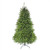 10' Pre-Lit Full Northern Pine Artificial Christmas Tree - Multicolor Lights