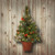 3' Pre-Lit Crestwood Spruce Artificial Christmas Half Tree, White LED Lights