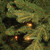 6.5’ Pre-Lit  Avalon Spruce Christmas Tree – Clear Lights