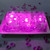 Set of 12 Pink Battery Operated Submersible LED Lights 1.25"