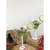 6.7” Mistletoe Love Martini Set of 2