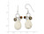 FJC Finejewelers Sterling Silver Crazy Lace Agate/clear and Smokey Qtz/tiger Eye Earrings QE5603T