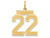 FJC Finejewelers 14k Yellow Gold Medium Satin Number 22 Charm LSM22A