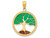FJC Finejewelers 14k Yellow Gold Enameled Tree Of Life Charm K4271A