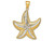 FJC Finejewelers 14k Yellow Gold with Rhodium Bright Cut Textured Starfish Charm K2946A