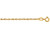Finejewelers 14 Kt Yellow Gold 20 Inch Bright Cut Carded Pendant Rope Chain Necklace Spring Ring Clasp