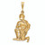 FJC Finejewelers 14k Yellow Gold Satin Aquarius Zodiac Charm C474A