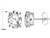 Star K Created Pink Sapphire Oval 8x6mm Earrings Studs in 14 kt White Gold 319234B