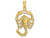FJC Finejewelers 14k Yellow Gold Large Scorpio Zodiac Charm C3174A