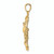 FJC Finejewelers 14k Yellow Gold Large Scorpio Zodiac Charm C3174A