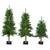 Set of 3 Alpine Artificial Christmas Trees 4', 5' and 6' - Unlit