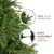 6.5' Green Roosevelt Fir Artificial Christmas Tree - Unlit