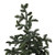 6.5' Potted Green Spruce Artificial Topiary Tree – Unlit