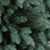 Real Touch™? Medium Washington Frasier Fir Artificial Christmas Tree - Unlit - 4.5'