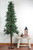 7' Pre-Lit Slim Traditional Woodland Alpine Artificial Christmas Tree - Multicolor Lights