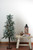 4' Pre-Lit Slim Frosted and Glittered Woodland Alpine Christmas Tree - Clear Lights