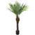 47" Potted Green and Brown Phoenix Palm Artificial Tree