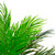 47" Potted Green and Brown Phoenix Palm Artificial Tree