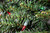 48" Pre-Lit Camdon Fir Diamond Shaped Artificial Christmas Wreath - Multi Lights
