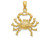 Finejewelers 14k Yellow Gold Large Cancer Zodiac Charm