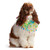 Midlee Easter Egg Decorative Dog Collar - ML-1372