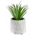 6" Artificial Potted Succulent in Cement Pot