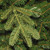 7.5’ Pre-Lit Norwegian Spruce Artificial Christmas Tree - Clear Lights