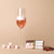 Rose and Grapefruit Sugar Cube Instant Champagne Cocktail Kit