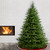 7' Full Norway Fir Artificial Christmas Tree, Unlit