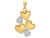 FJC Finejewelers 14k Yellow Gold with Rhodium Polished Heart Cluster Charm K5176A