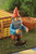 11.5" Red and Blue Beer Buddy Gnome Outdoor Garden Statue