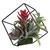 7" Artificial Succulent Arrangement in Offset Metal Wire Frame