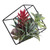7" Artificial Succulent Arrangement in Offset Metal Wire Frame